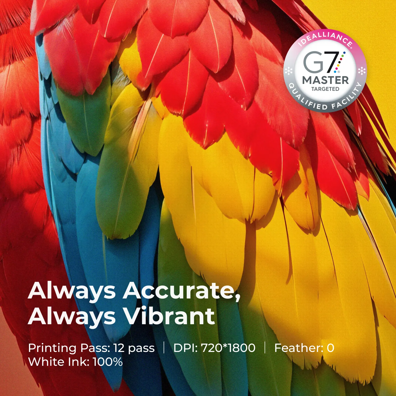 NOVO! Xtool tiskalnik za tekstil Versatile bundle - Image 4